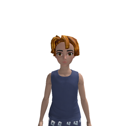 sskfhfjjr Roblox avatar torso