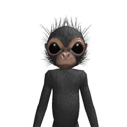 user_7805215200 Roblox avatar torso