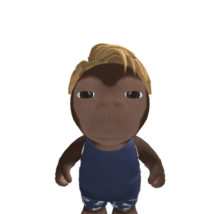 bsushduduusuddu Roblox avatar torso