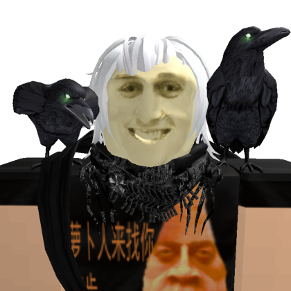 user_101340528 Roblox avatar torso