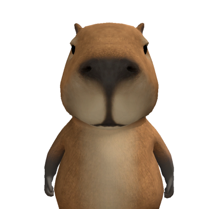 nathan_2528 Roblox avatar torso