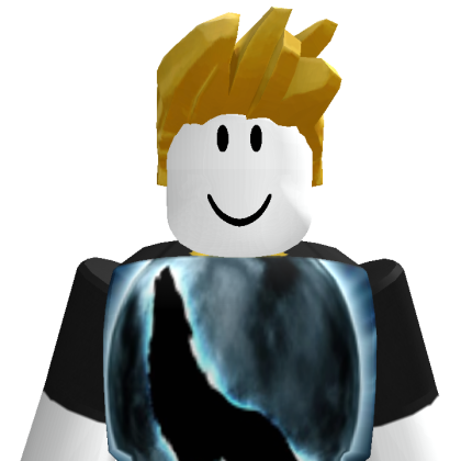franqui3495 Roblox avatar torso