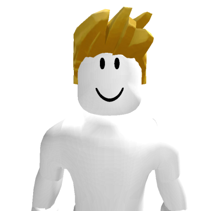 kevin17go203 Roblox avatar torso