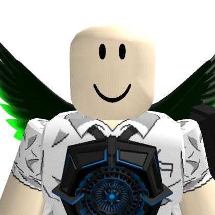 ECS1991 Roblox avatar torso