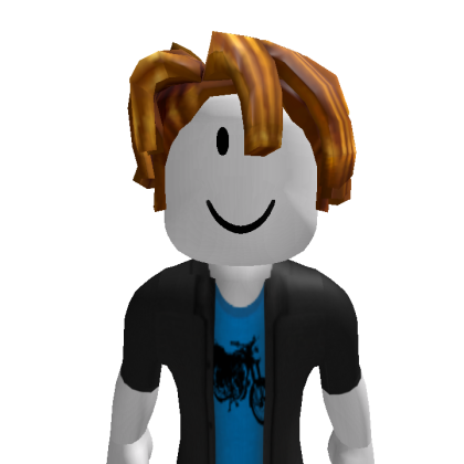 ididueo5 Roblox avatar torso