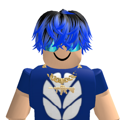bobcatlover200 Roblox avatar torso
