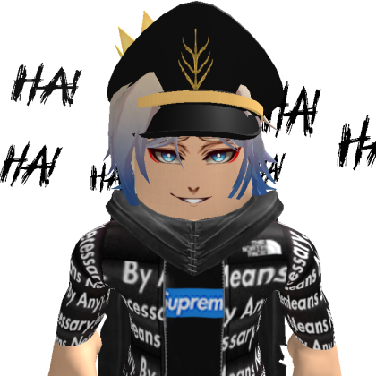 dvgsxu Roblox avatar torso