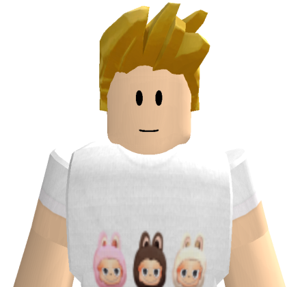 braabde Roblox avatar torso