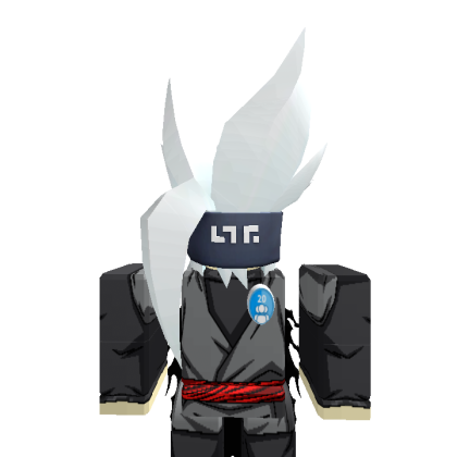 tagz800 Roblox avatar torso