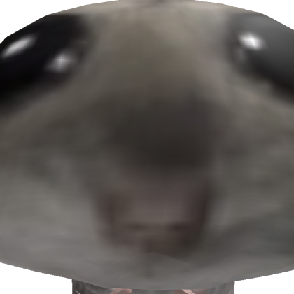 BabyJ62120 Roblox avatar torso