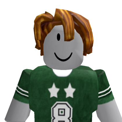 vahid001097 Roblox avatar torso