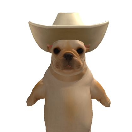 caio41609 Roblox avatar torso