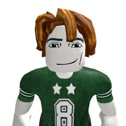 Rayden2852 Roblox avatar torso