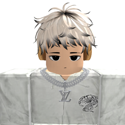 tL5981 Roblox avatar torso
