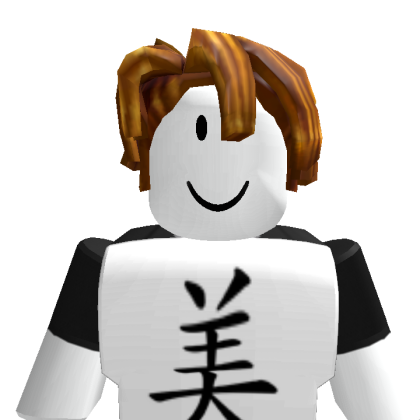 LeoDav20240 Roblox avatar torso