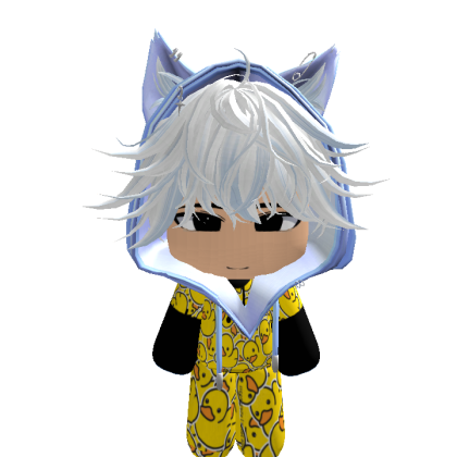 sunnyboy051 Roblox avatar torso