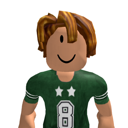 Dadag19767 Roblox avatar torso