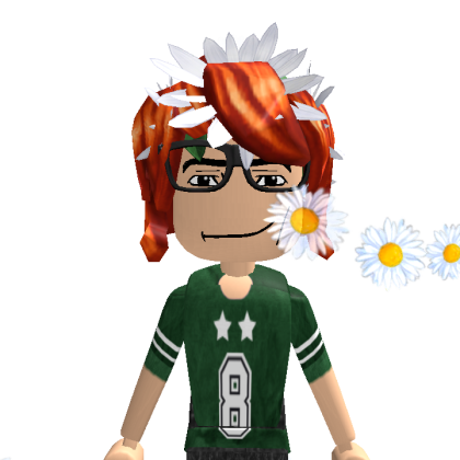 laramoree234 Roblox avatar torso