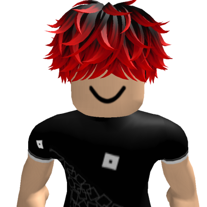 Evanleeder201 Roblox avatar torso