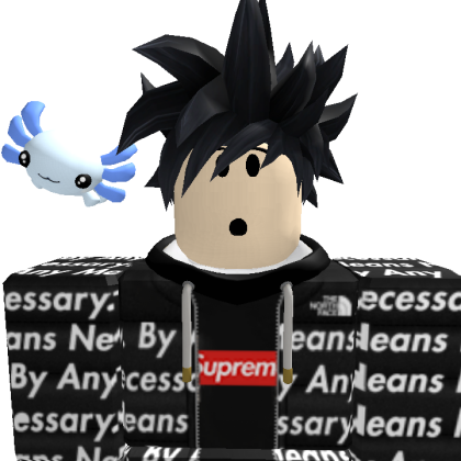 BigGamerYO Roblox avatar torso