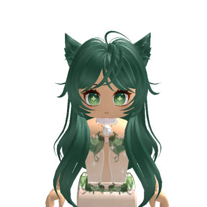 kinderis98 Roblox avatar torso