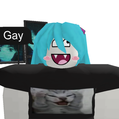 koukun0920 Roblox avatar torso