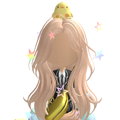 aicha825s Roblox avatar torso