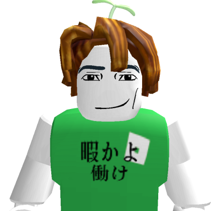 koto1234530 Roblox avatar torso