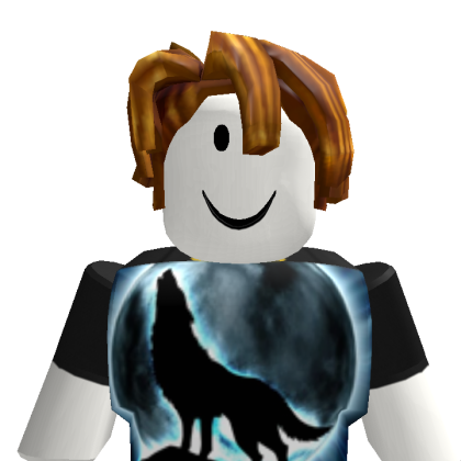 zilvio_67600 Roblox avatar torso
