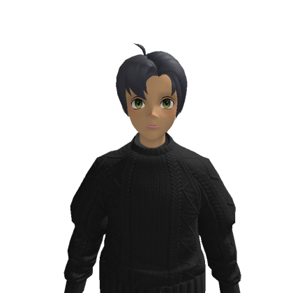 mile_s1234 Roblox avatar torso