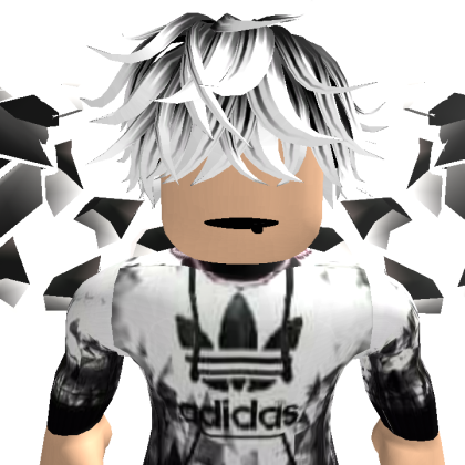AtenaHaasan Roblox avatar torso