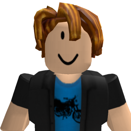 hrgeheju8 Roblox avatar torso