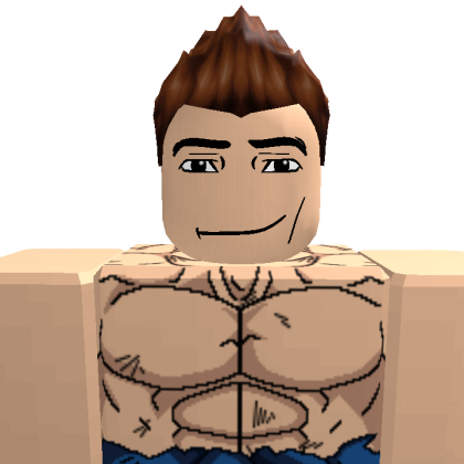 Arisbaba1501 Roblox avatar torso