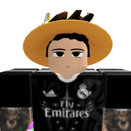 sgtgg246 Roblox avatar torso