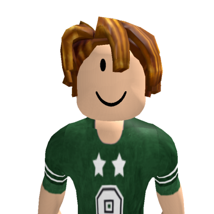FlyLou281 Roblox avatar torso