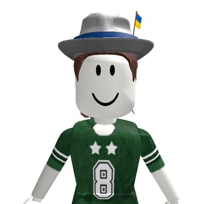 Brihi29 Roblox avatar torso