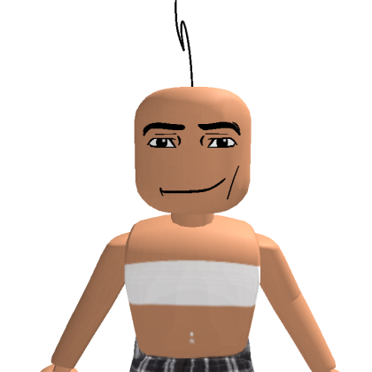 Ellierobi523908 Roblox avatar torso