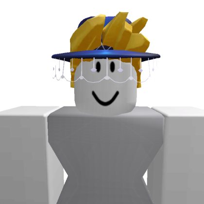 evet29952 Roblox avatar torso