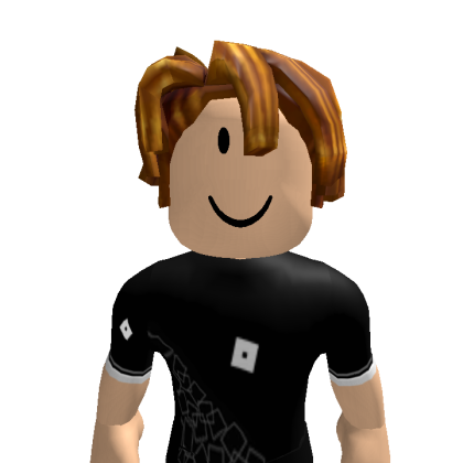 Avion4728 Roblox avatar torso