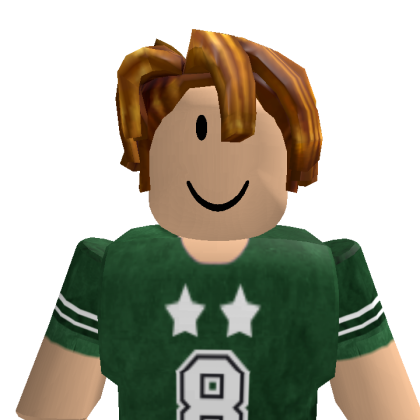 SillyEli60 Roblox avatar torso
