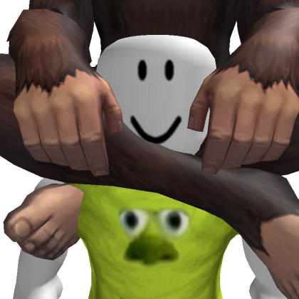 0510EIJI Roblox avatar torso