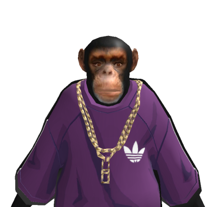 Aturh33 Roblox avatar torso