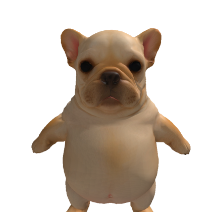 thiara25Lopez Roblox avatar torso