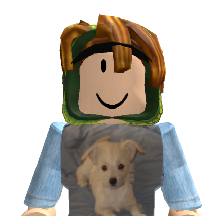 dinosaurios2754 Roblox avatar torso