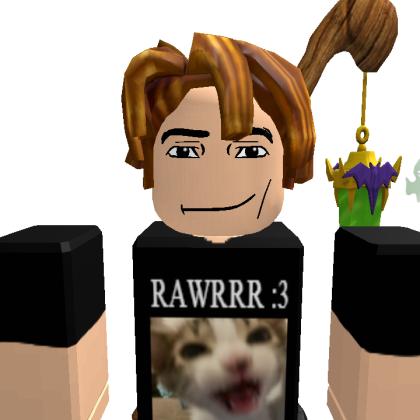 rimr3510 Roblox avatar torso
