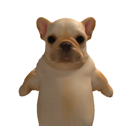Snoopydog1121 Roblox avatar torso