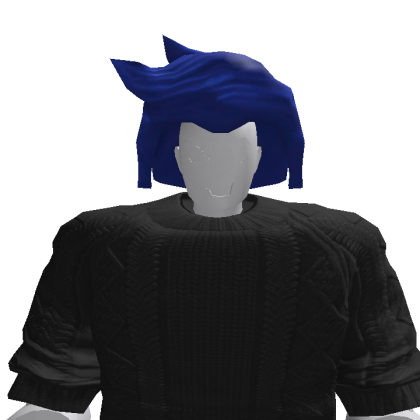 payric20 Roblox avatar torso