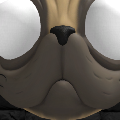 user_7914594687 Roblox avatar torso