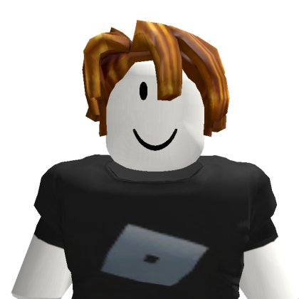 fhbdgxkz Roblox avatar torso