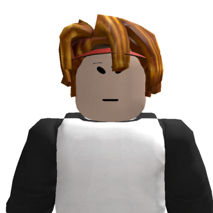 user_9166107308 Roblox avatar torso